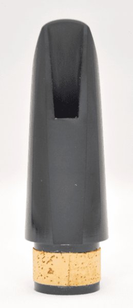 画像3: H.Selmer Focus (3)