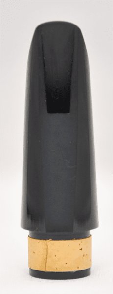 画像3: H.Selmer Focus (3)