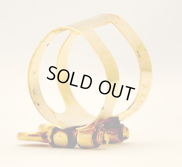 画像4: Buzz Special PGP (4)