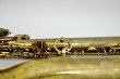 画像24: YANAGISAWA B.sax B6 (24)