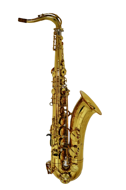 YAMAHA T.sax YTS-875EX